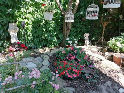 Hostal Pension Amelie