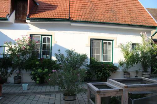 Apartamento Appartement "blumengassl"