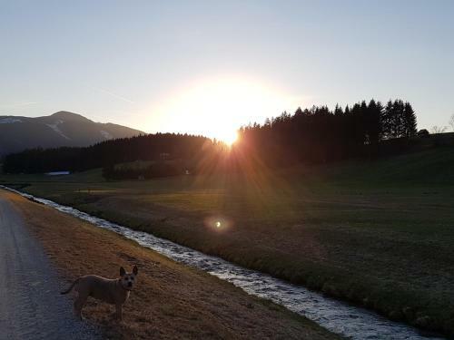 Apartamento Appartement Zur Therme