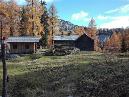 Apartamento Ferienwohnung Wohlfahrter
