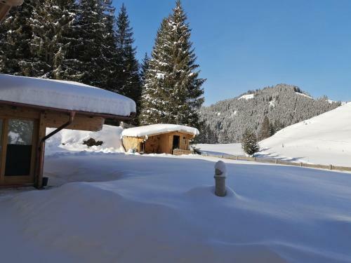 Apartamento Haus Jessica Incl Nationalparkcard
