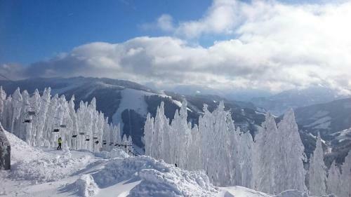 Apartamento Appartmenthaus Hochk�nig