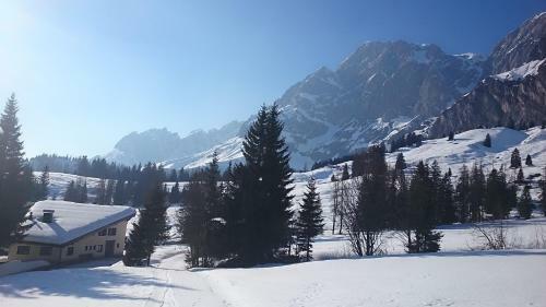 Apartamento Appartmenthaus Hochk�nig