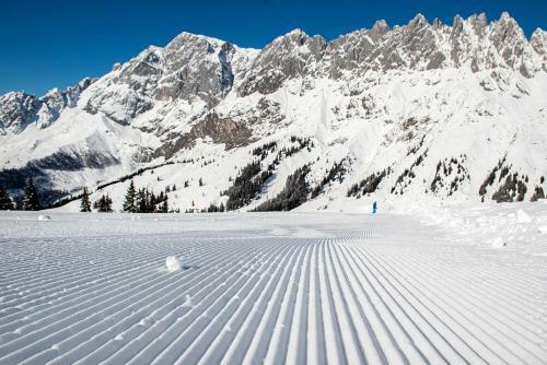 Skyberg Chalets
