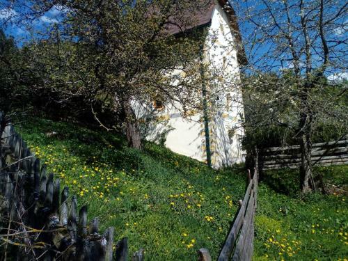 Turmhaus Am Perschlhof