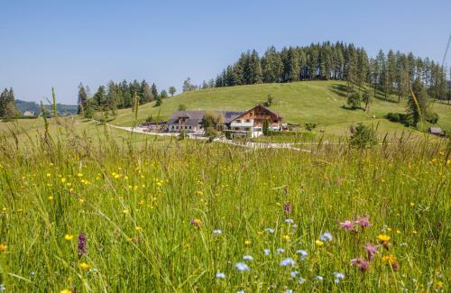 Posada Almgasthof Windlegern