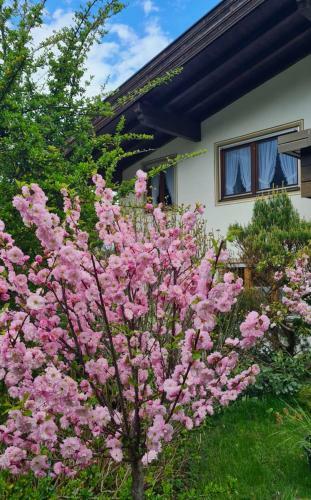 Apartamento Ferienwohnung Berggl�ck (Nr. 2)