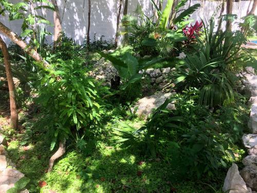 Peacefulnest Tulum