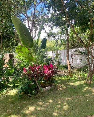 Peacefulnest Tulum