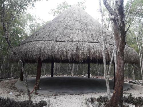 Villa Explore Riviera Maya, Private Pool, Palapa, High Internet Speed
