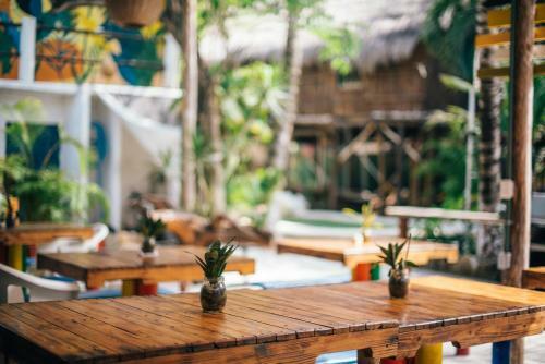 Bed & Breakfast Lobo Inn Tulum