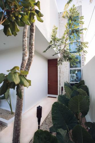 ? Vw Tulum ?private Villa ? Private Pool & Parking ?