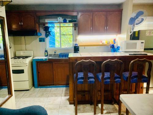 Apartamento Casa Azul Very Local Experience