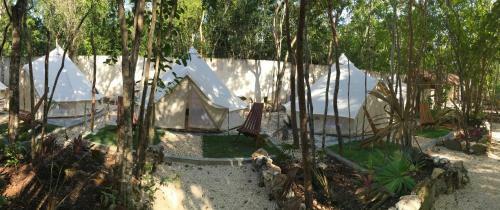 Hotel Bayou