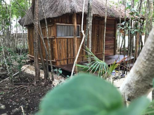 Hotel Bayou