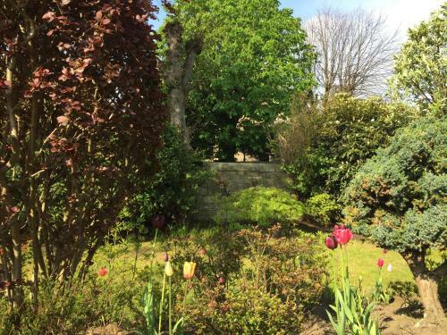 Bed & Breakfast Claremont House