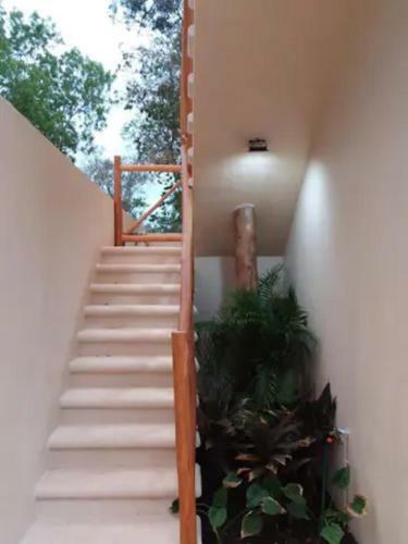 Villa Casa Kaban Tulum Incredible Stay In Tulum + Chef . Spa Services