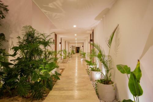Apartamento Omara By Lockey
