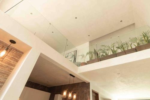 Apartamento *new York Jungle Loft* *private Pool*