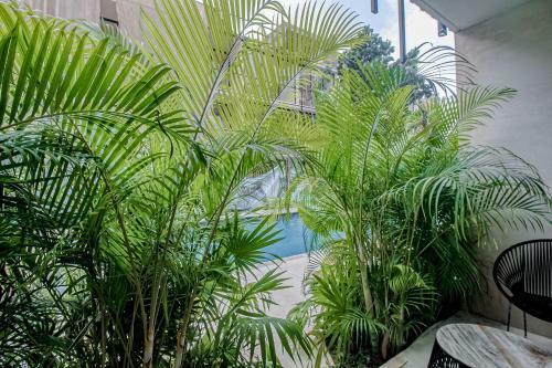 Apartamento Gardens Tulum