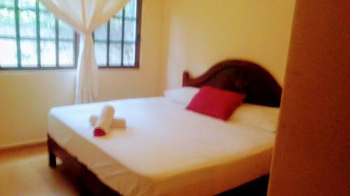 Spacious 2 Bedroom Apartment + Pool