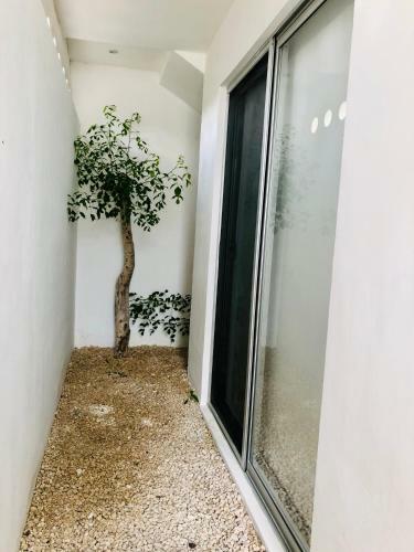 Apartamento Amplio Departamento #1 Completamente Nuevo