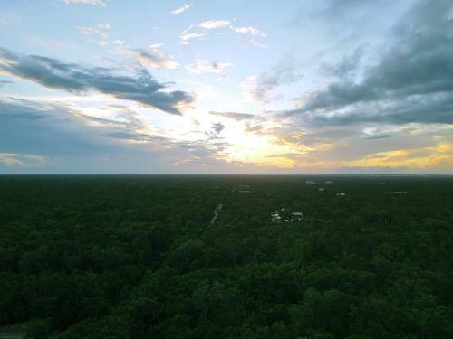 Uliv Apartments - Tulum