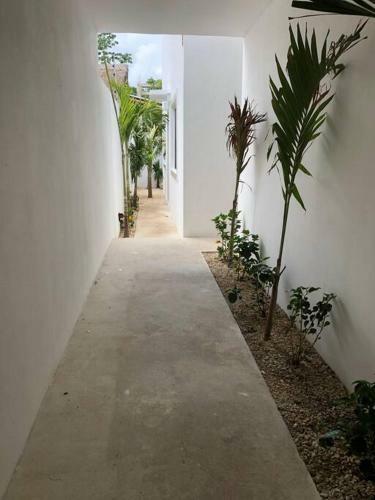 Apartamento Departamento #4 Con Jacuzzi Privado