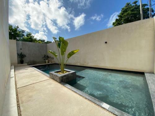 Apartamento Casa Zen