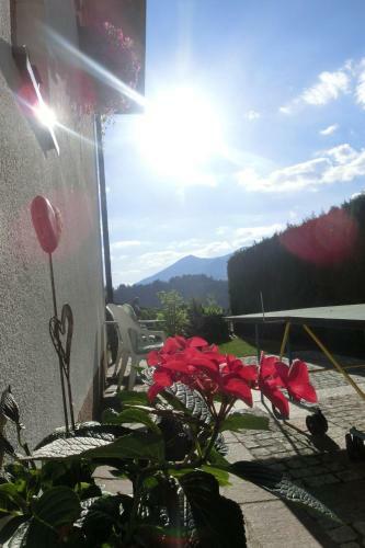 Apartamento Haus Vlcek