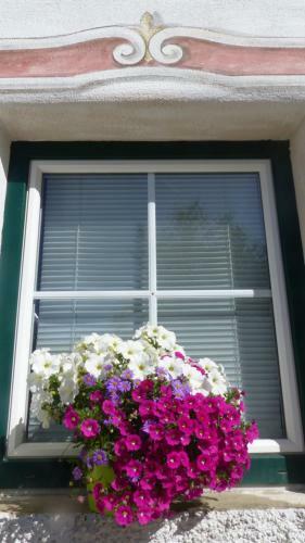 Apartamento Multererhof