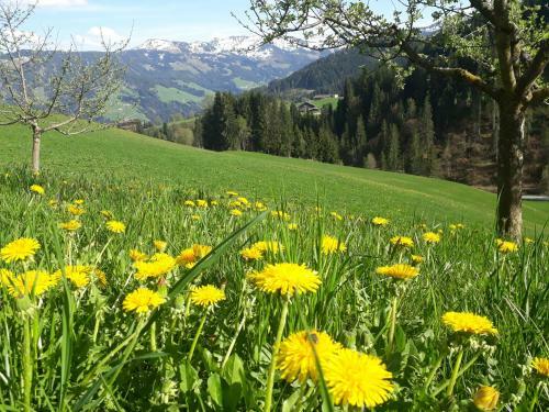 Apartamento Sonnenappartements Madlstatthof