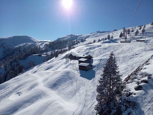 Apartamento Schoners Einfanghof Wild005