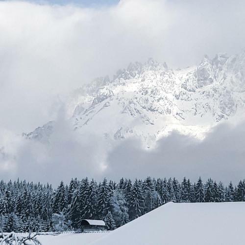 Bed & Breakfast Privatzimmervermietung Foidlbauer
