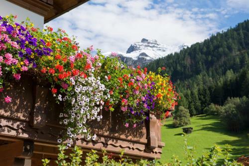 Hostal Haus Fernblick