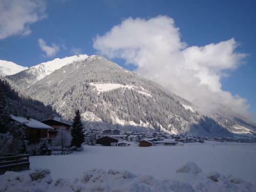 Apartamento Alpenecho