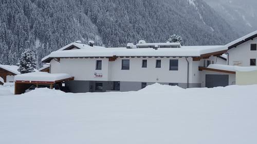 Apartment Stubai