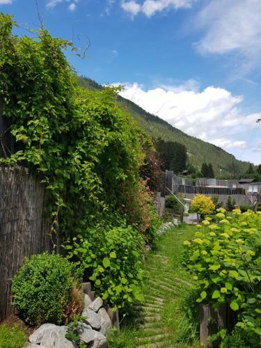 Apartments Schneiterhof - Der Frei-raum