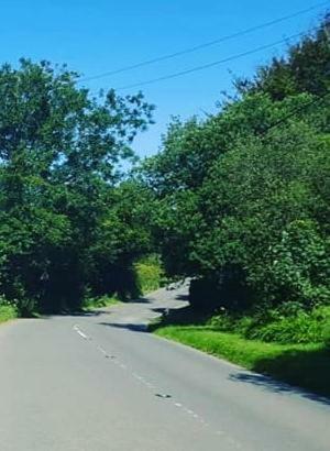 Hostal Longstone Bed & Breakfast