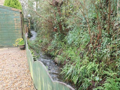 Speedwell, Charlestown