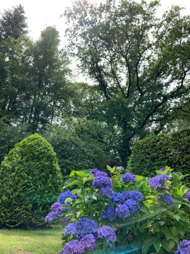 Zonnebos, Private Garden, Fresh Air, Relax!
