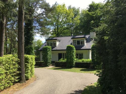 Casa Vogelenzang
