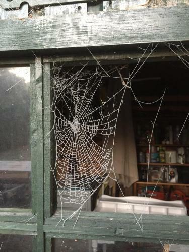 B&B Van Beijden