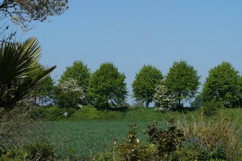 Apartamento Vakantiewoning Het Olietunnetje