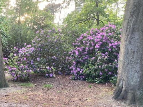 Apartamento Kom Tot Rust In The Forest