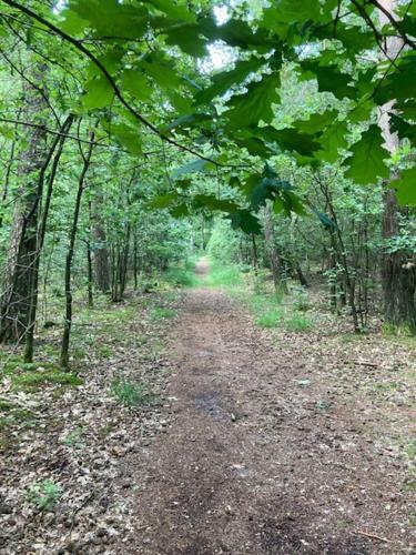 Apartamento Kom Tot Rust In The Forest