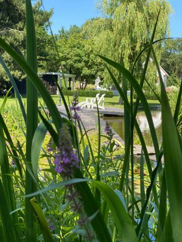 Bed & Breakfast Gastenverblijf Nature 4-persoons