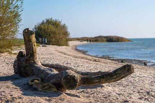 Luxe Bosvilla de Paradijsvogel