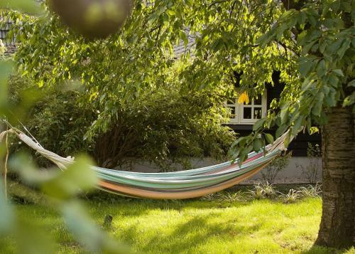 Bed & Breakfast De Stippelberg