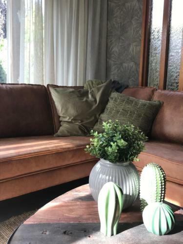Bosgenieten Bij Bos7 Op de Veluwe